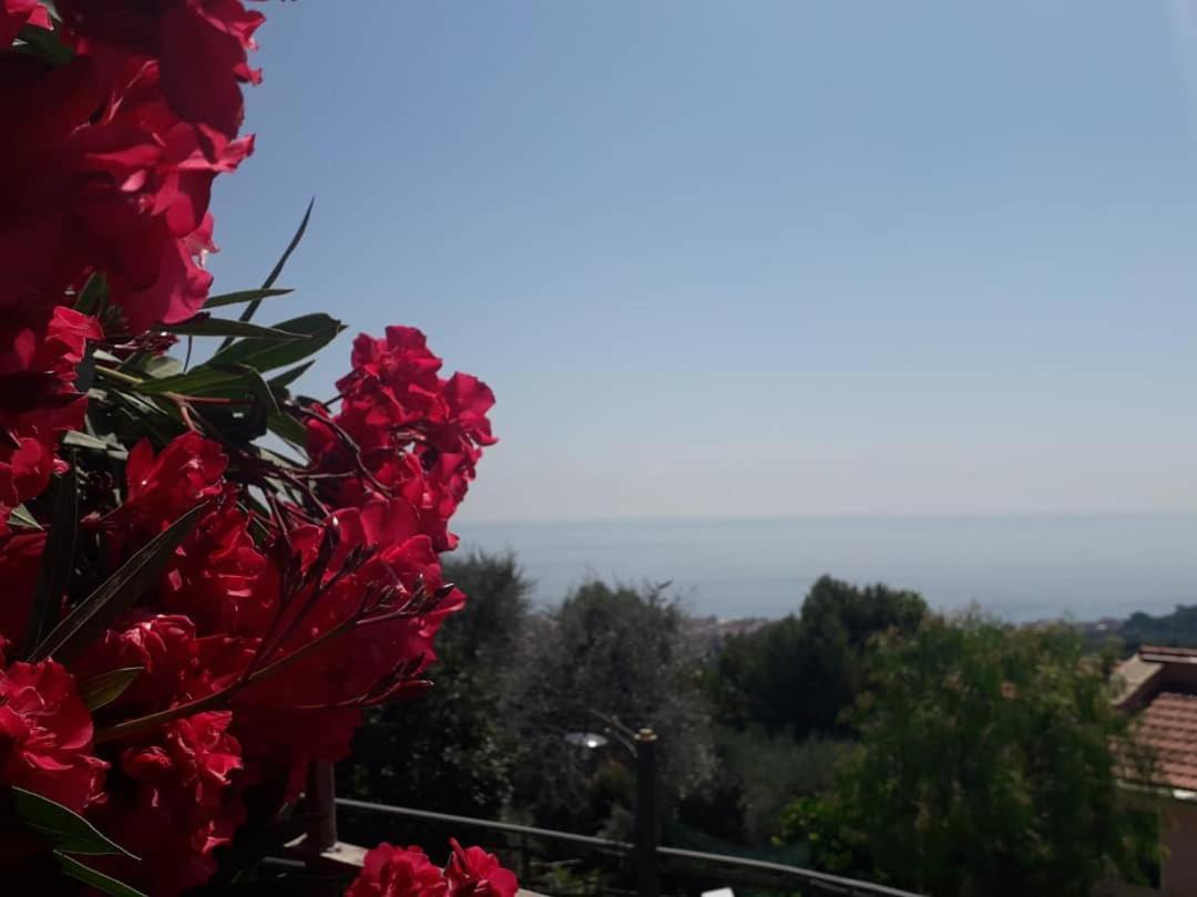Il Porto Di Benny Bed and Breakfast Alassio Buitenkant foto